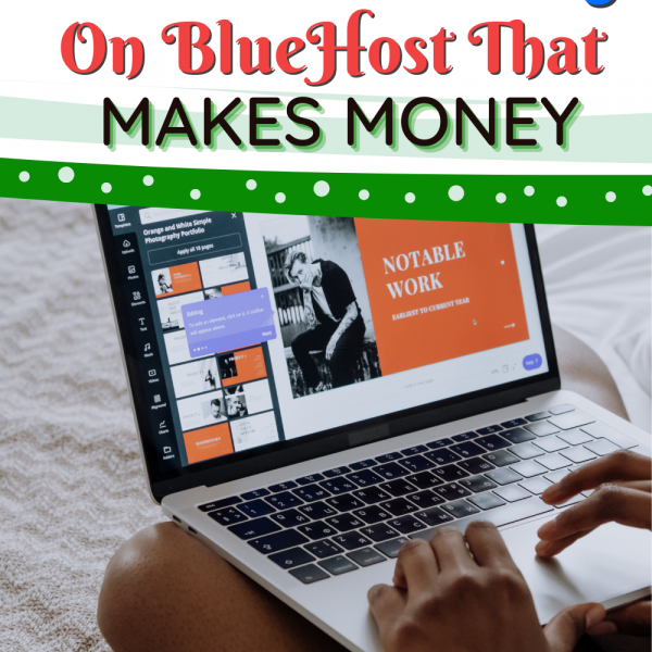 How To Start A WordPress Blog On BlueHost That Makes Money