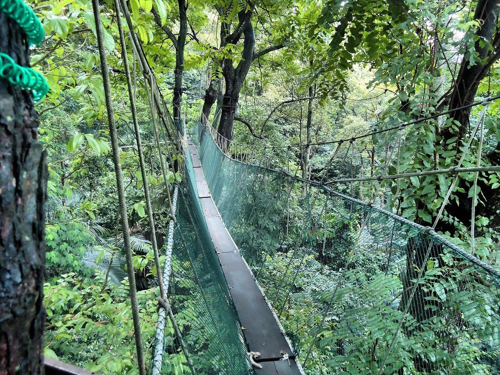Narrow bridge in Heliconias Costa Rica
