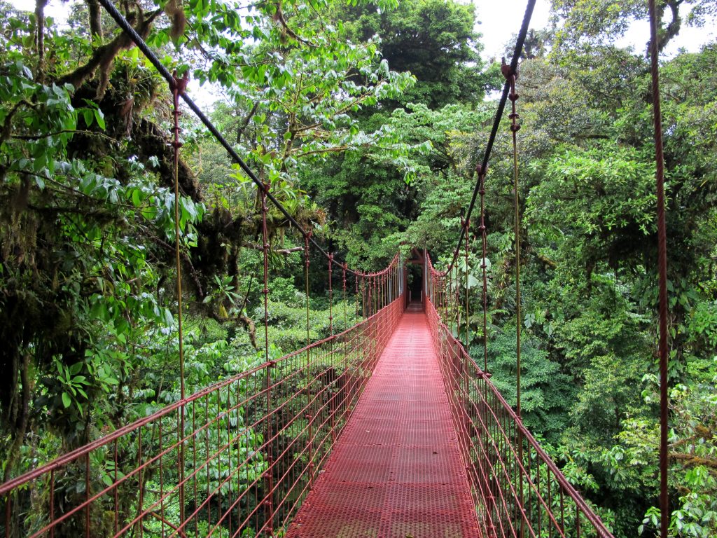 A red colored hanging bridge in Monteverde 