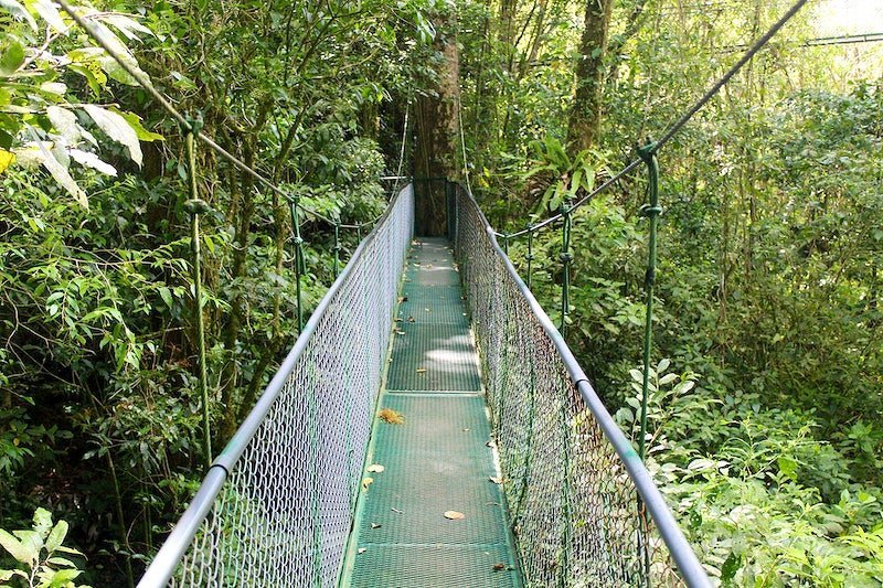A green hanging bridge in Arenal Sky Adventures Park 