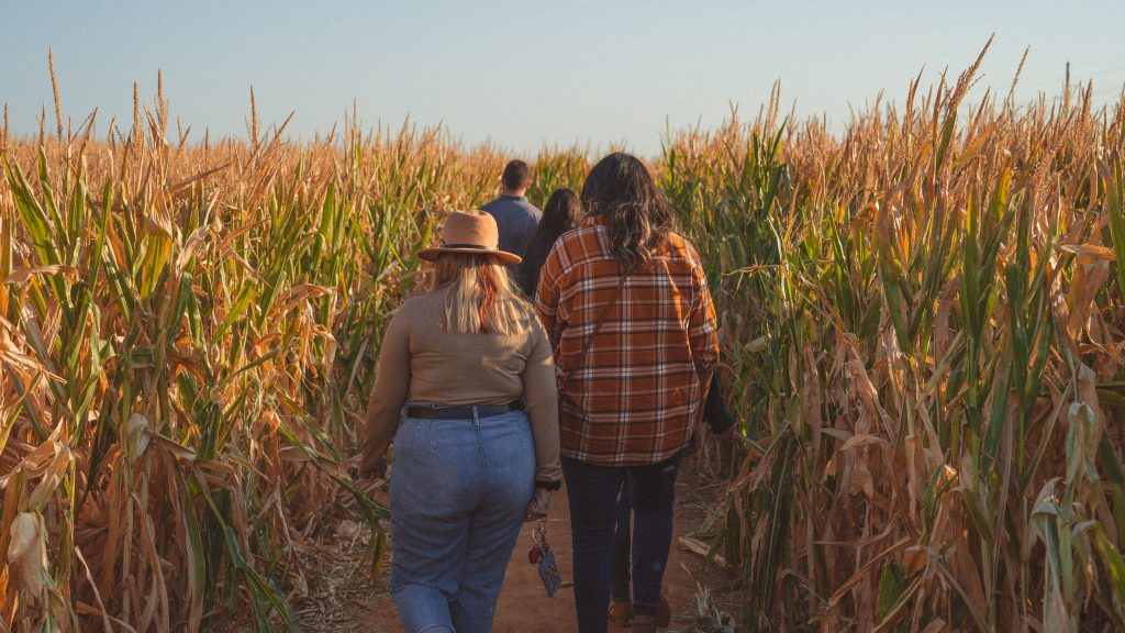 Some fall date ideas can be super fun like getting lost in a corn maze 
