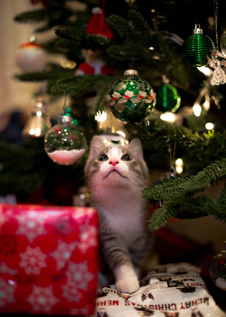 christmas tree ornament with cat under a tree