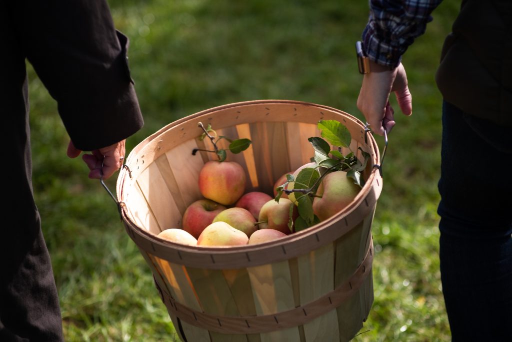 Apple picking is one of the most underrated fall date ideas for couples 