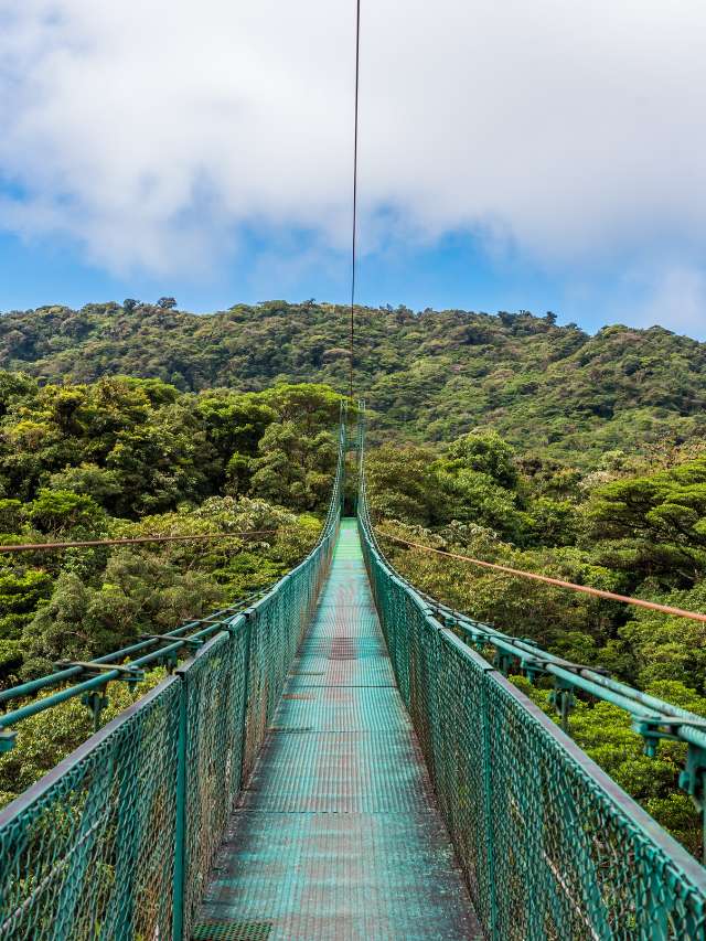 The Absolute Best Hanging Bridges in Costa Rica You MUST See in 2023 ...