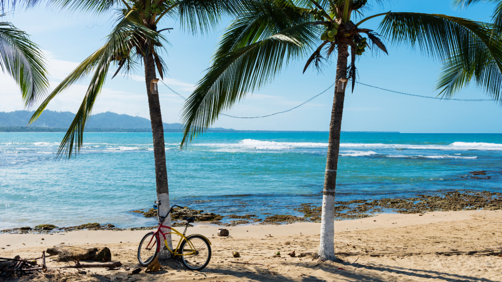 A beach image with sunshine and cycle near tree